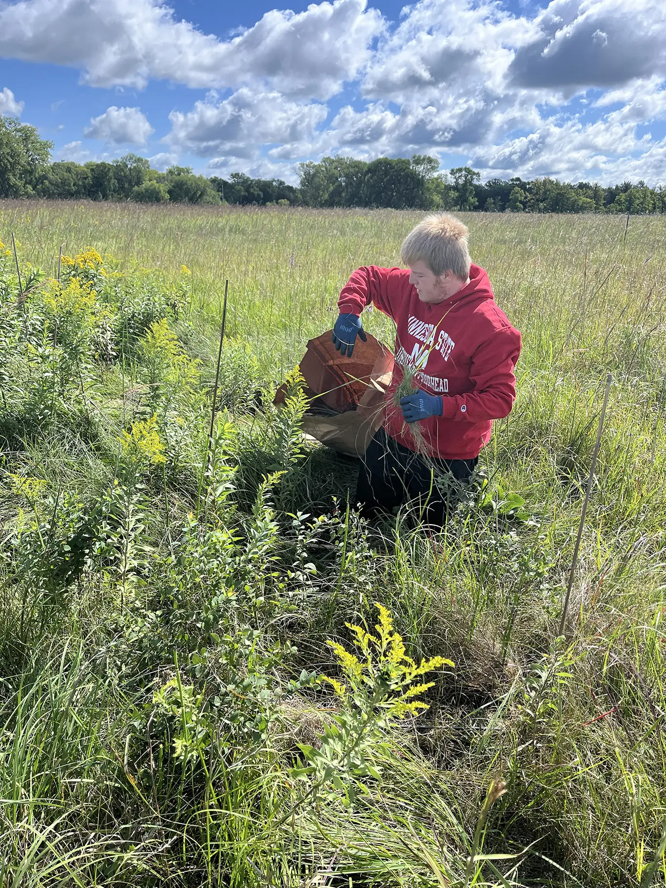 Derrek Friesen Collecting Plant Samples