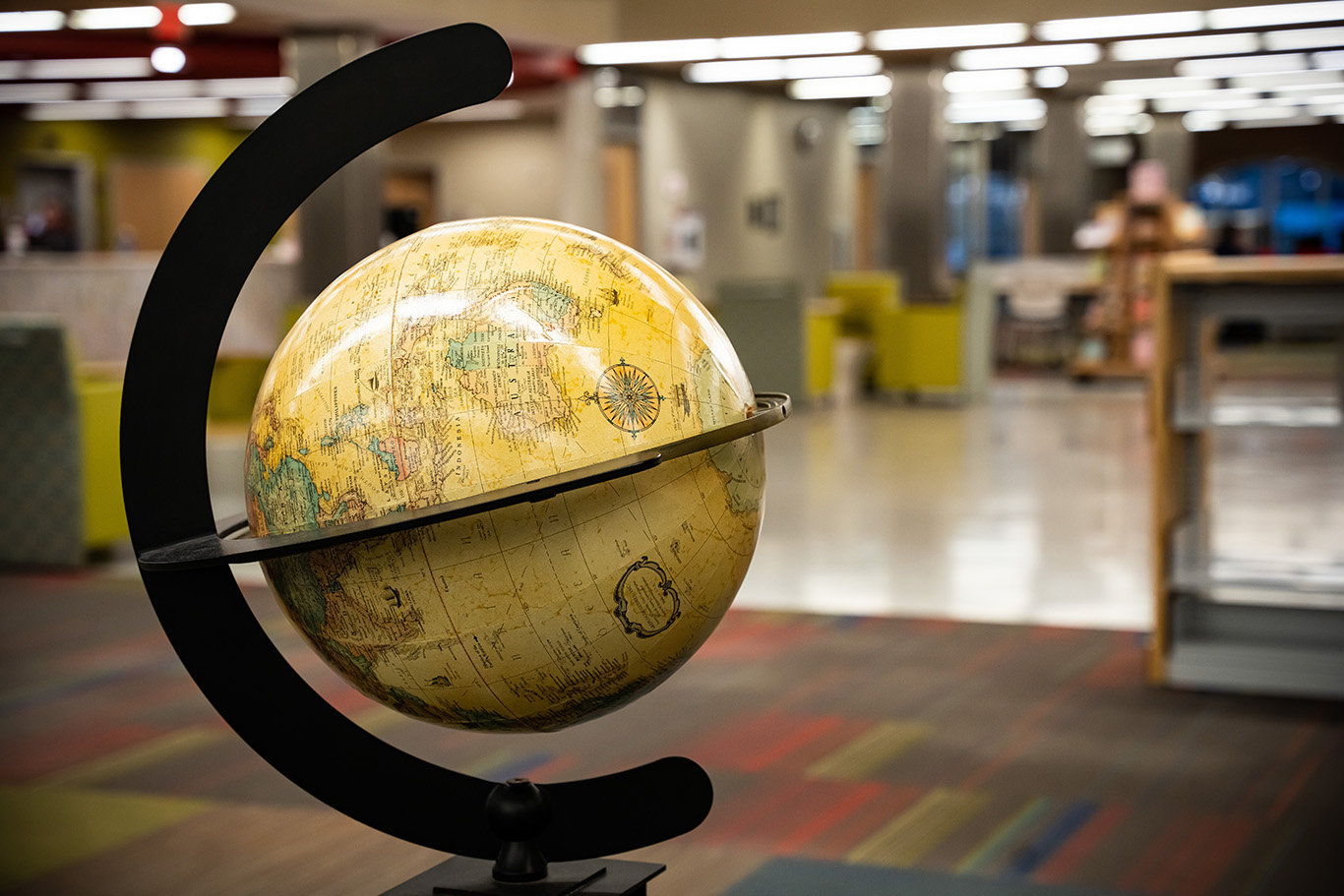 <p>Elementary Inclusive Education Degree</p>