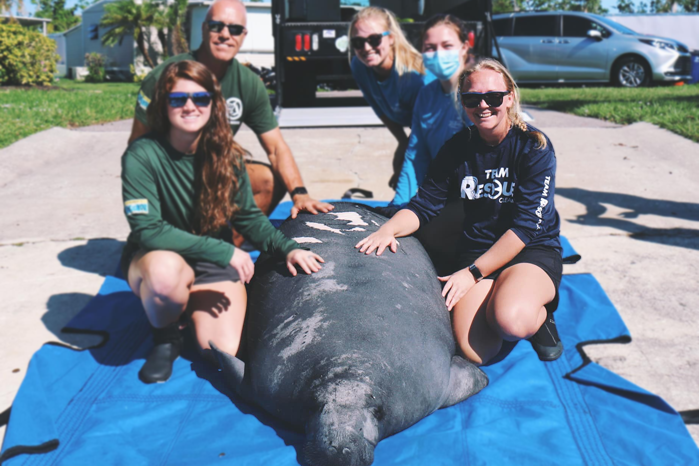 <p>BS in Biology with Emphasis in Ecology &amp; Evolutionary Biology</p>