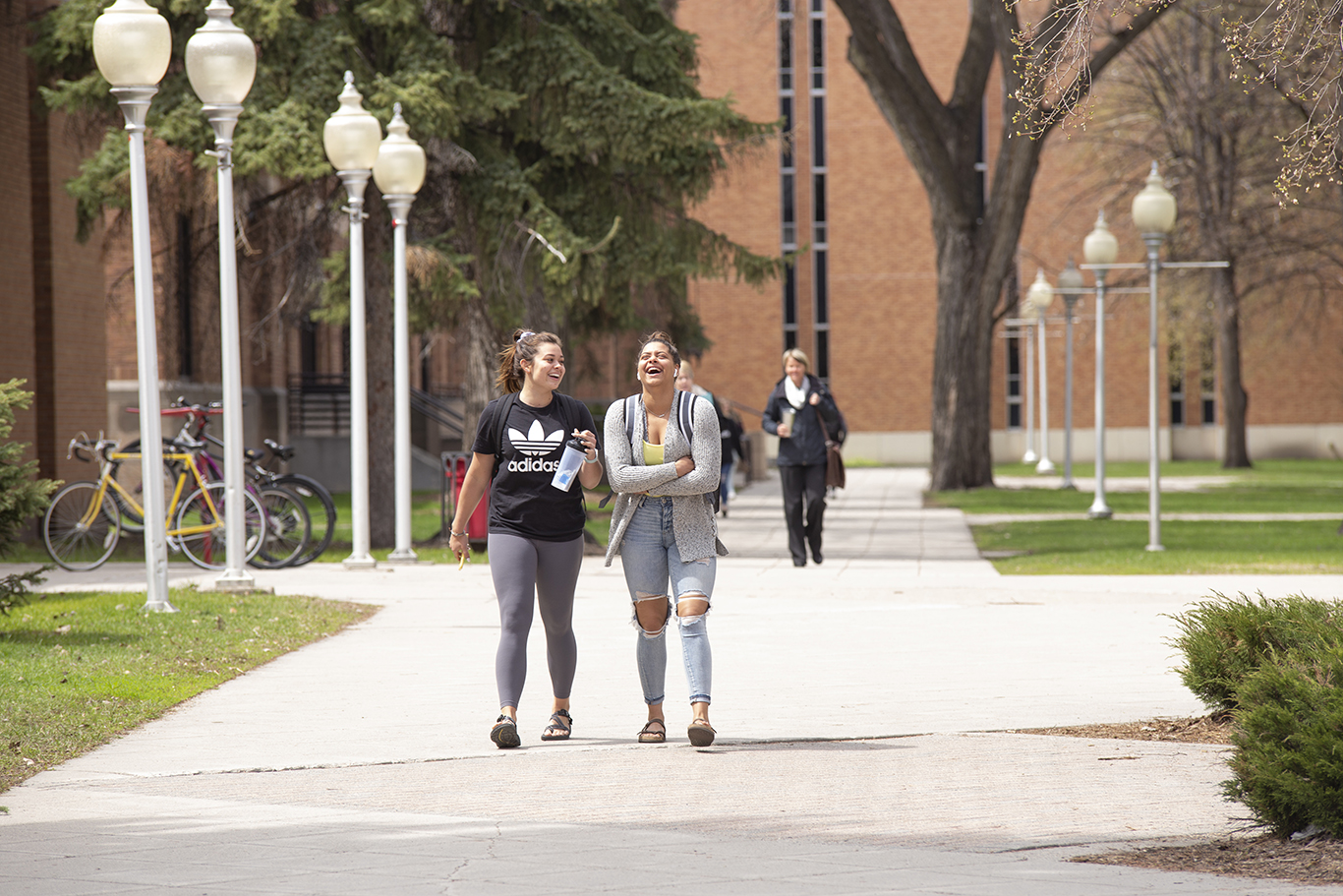 <p>Find out why <span class="bold-text">Dragons</span> love calling <span class="bold-text">MSU Moorhead's</span> campus home.</p>