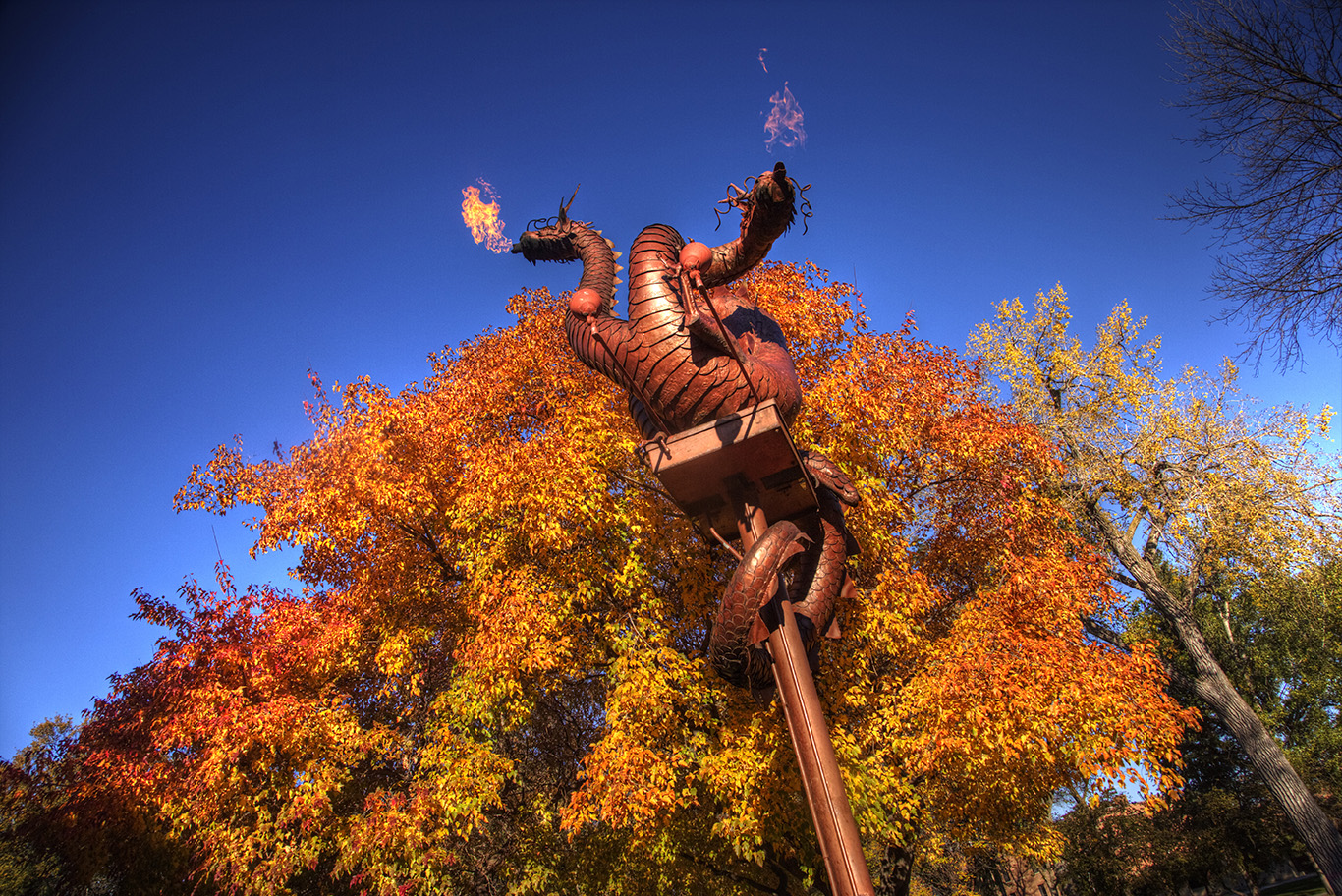 <p>Spread your wings!</p>