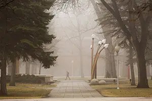 Meeting Background Campus fog